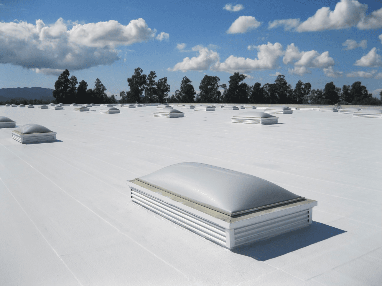 Single-Ply Roofing